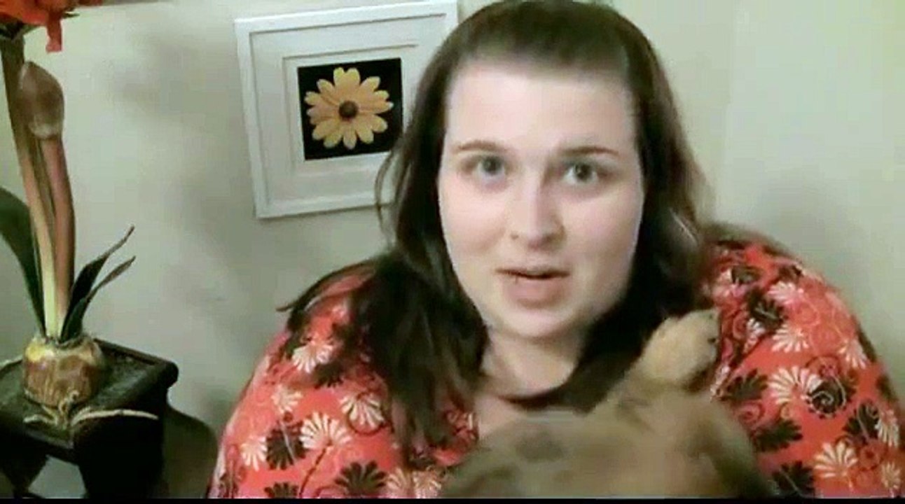 The Dog Training System ~Kristy Lynn Chicago, USA