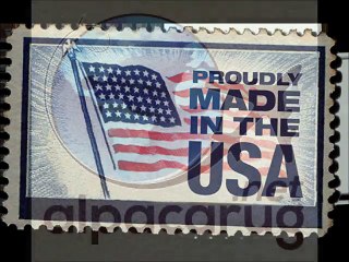 Modern Living Room Ideas From Alpacarug.net