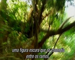 É Mesmo Verdade? - Crianças Selvagens - Is It Real? - Feral Children - RTP2