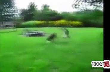 The Ultimate Epic Fail_Win Funny Compilation 2014 -- Best Of 2014 Sexy Girls Fails_Wins_Pranks - Video Dailymotion