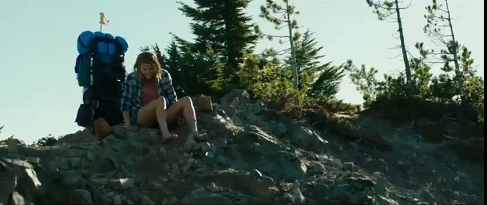 Wild Trailer Official