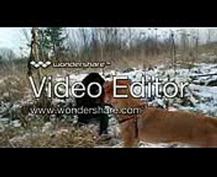 Download song management system v.1.0.32 crack updated