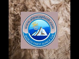 Living Room Ideas From Alpacaplush.com