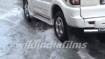 B.T Road looks like a pond in rainy seasons in Kolkata by wildindiafilms