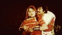 Mahjabeen Qazalbash - Meena Che Somra She Roswa Janana Zama