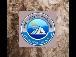 Large Area Rugs From Alpacaplush.com