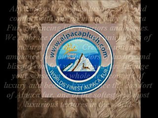 Living Room Design Ideas From Alpacaplush.com