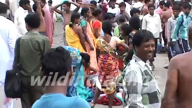 Pilgrims bathing on occasion of Shivratri at Ganga Ghat, Babughat Westbengal by wildindiafilms