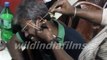 Roadside ear wax cleaning in Kolkata , India by wildindiafilms