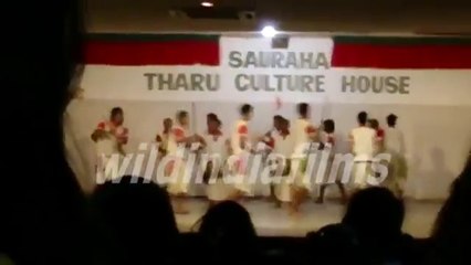 Sauraha Tharu Culture House Jhamta Naach( Claping Dance)