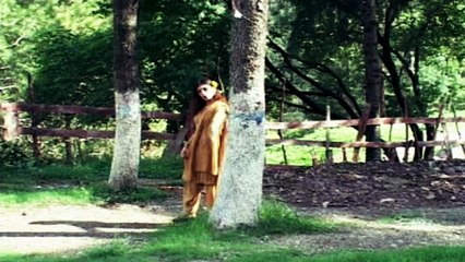 Nazia Iqbal - Zama De Hussan Ta Salam