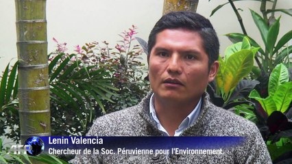 Pérou : le désastre écologique de la ruée vers l'or