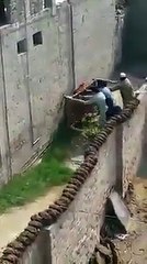 soooo funny-crazy cow hit them.....must watch