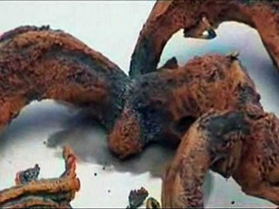 Expérience étrange