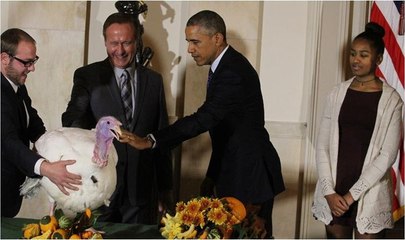 Obama hindileri affetti