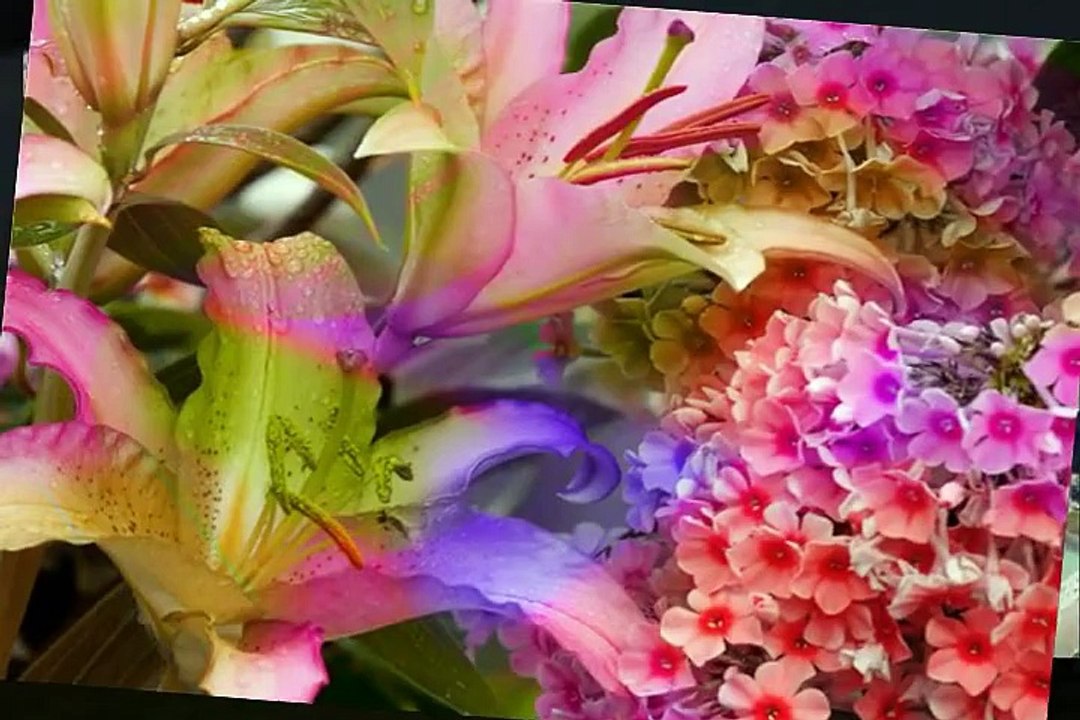 Poltava Flowers