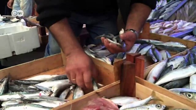 Turkey: IS Supply Channels | Focus on Europe