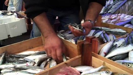 Turkey: IS Supply Channels | Focus on Europe