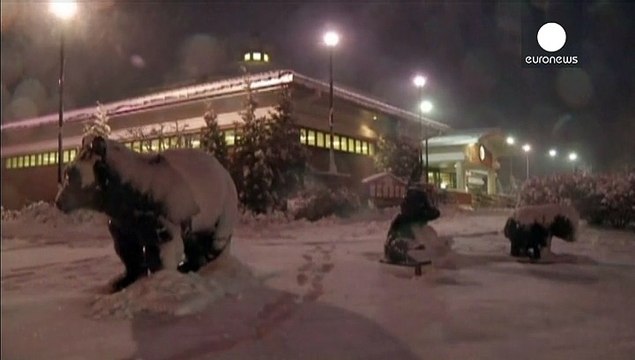 EUA: Mau tempo complica deslocações no dia de Ação de Graças