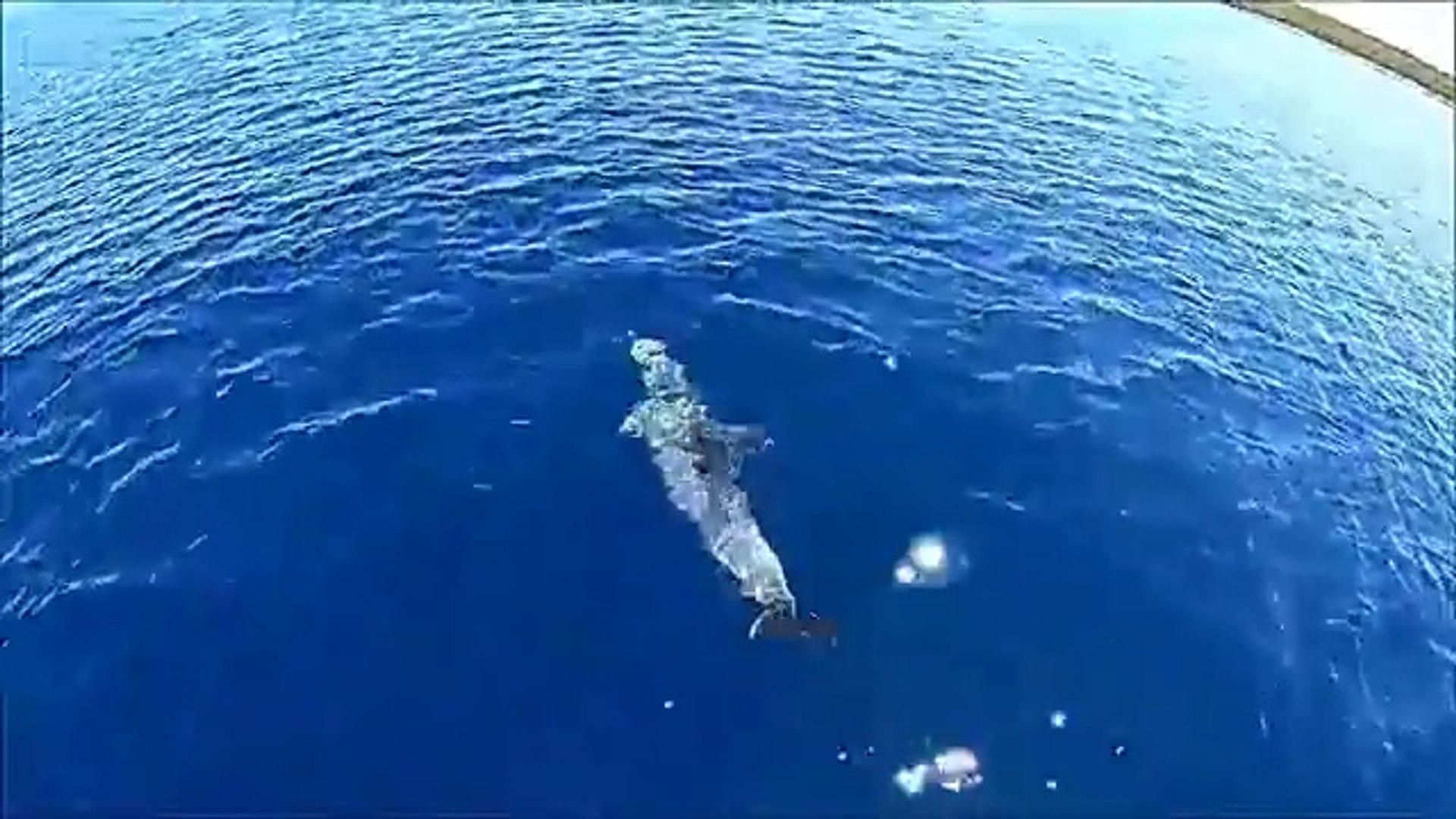 Sailing Croatia