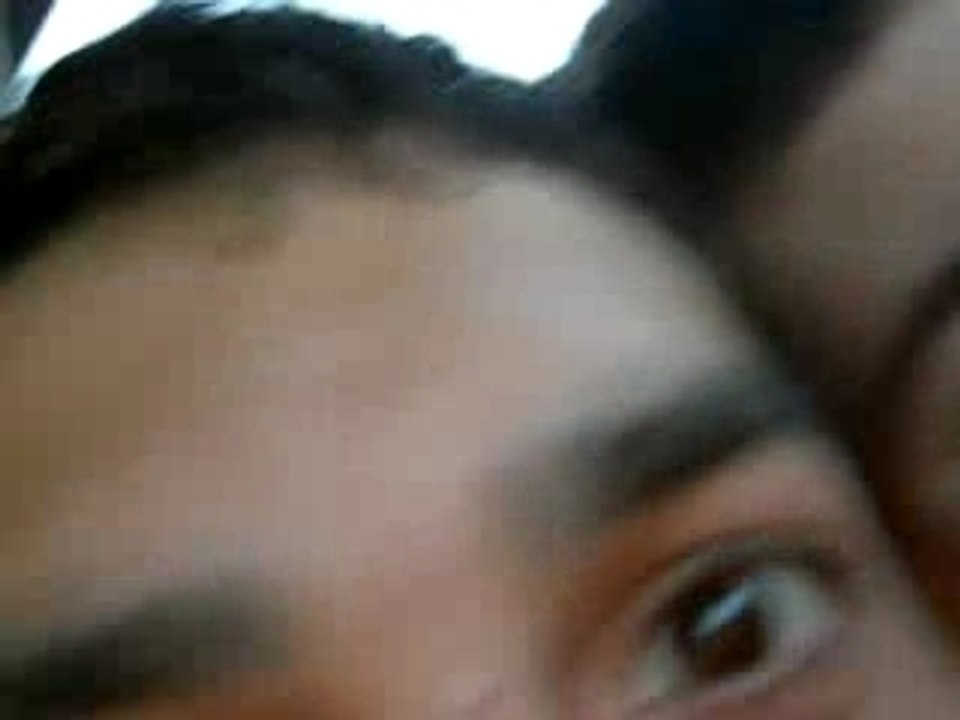 Vluo