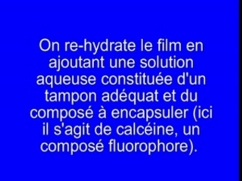 Film liposomes