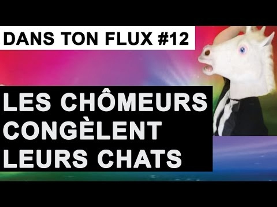 Les chômeurs congèlent leur chat #DansTonFlux 12