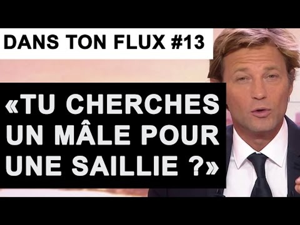 Tu cherches un mâle pour une saillie ? #DansTonFlux 13
