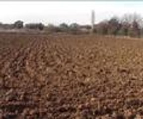 Hırsıza tabelalı çağrı