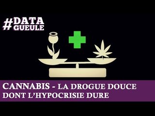 Cannabis, la drogue douce dont l'hypocrisie dure #DATAGUEULE 11