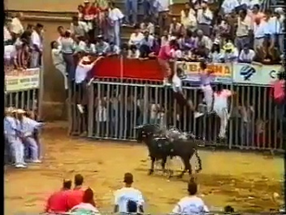 Bull Attack On A Young Girl