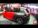 P020 PEUGEOT 308 R CONCEPT