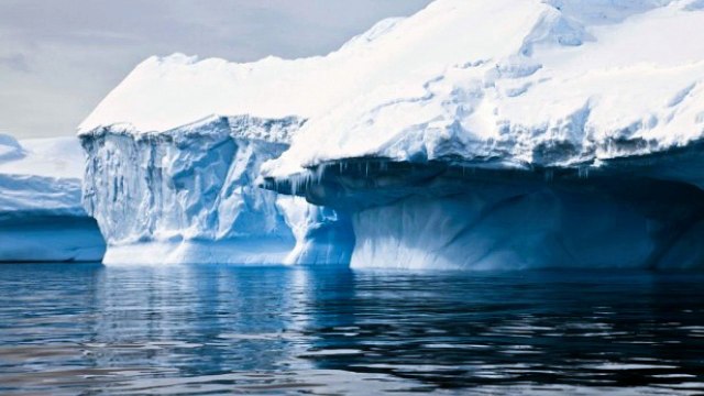 Watch Antarctica: A Year On Ice Movie Online Netflix