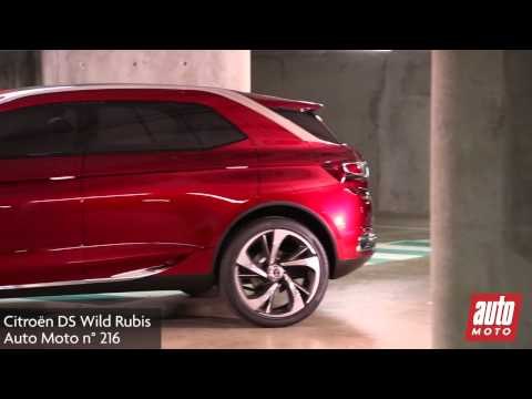 P015 CITROEN DS WILD RUBIS