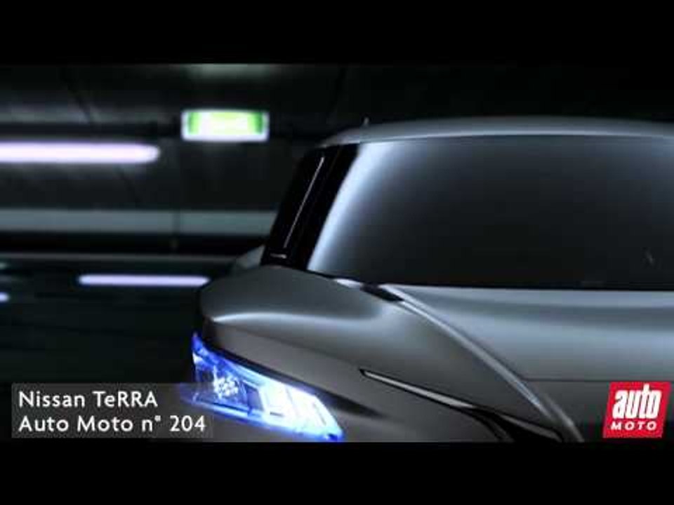 P064 NISSAN TERRA