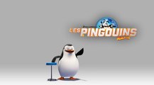 Les Pingouins de Madagascar - À la rencontre de Soldat [Officielle] VF HD