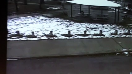 La vidéo-choc de la mort de Tamir Rice, 12 ans, tué par la police de Cleveland