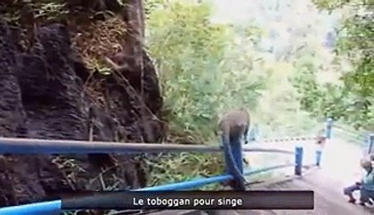 Best funniest videos - Funny videos compilations 2014 HD quanlity