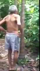 A 82 ans, il escalade les arbres comme un chimpanzé ...