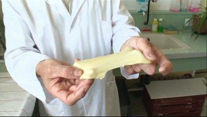 Le gluten : faut-il en avoir peur? - "pourquoi du gluten dans notre pain?"