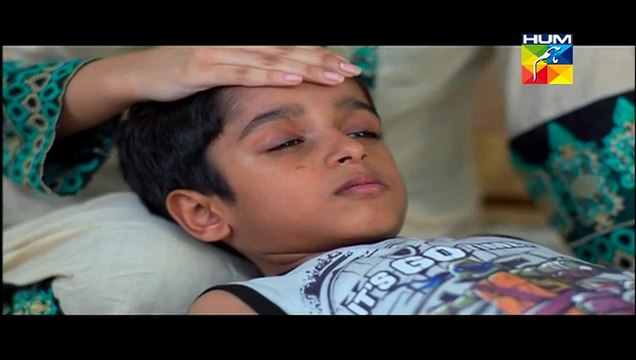 Agar Tum Na Hotay Episode 67 Full on Hum tv 27th November 2014