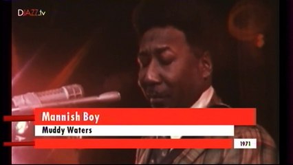 Muddy Waters - Mannish Boy