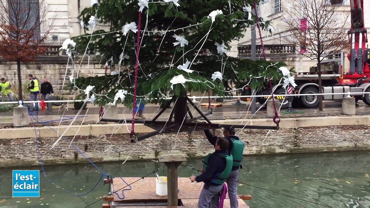 Des sapins installés sur les quais de Seine à T...