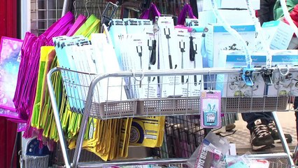 Corée du Sud: les perches à selfie font risquer la prison