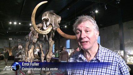 Le squelette d'un mammouth vendu pour 239.000 euros