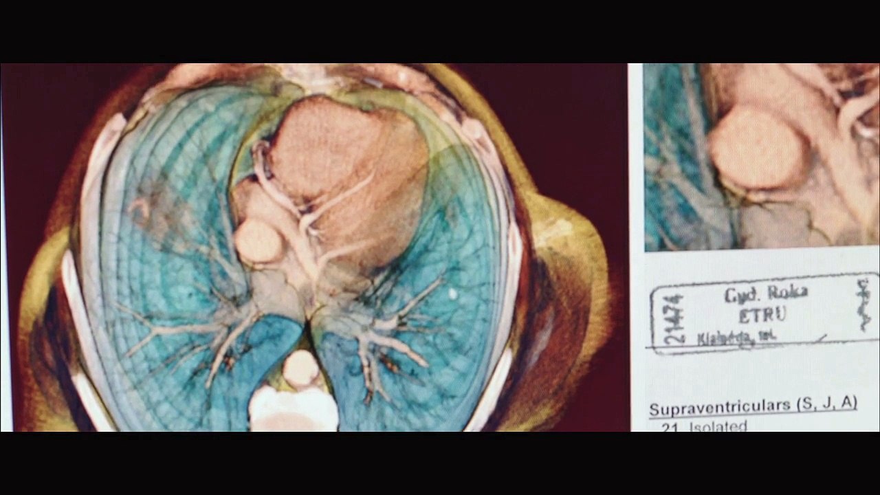 THE GAMBLER - Bande-annonce VO