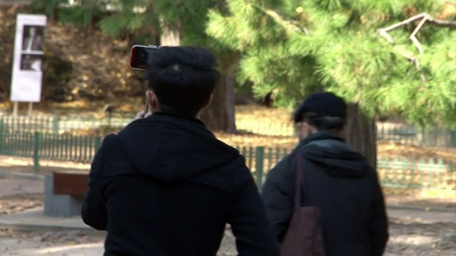 Multas por bastones para “selfies” en Corea del Sur