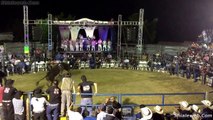 Jaripeo Una Sola Monta Con Banda Jinete Con Espuela Reglamentaria Y Un Baile Reguional En Intermedio