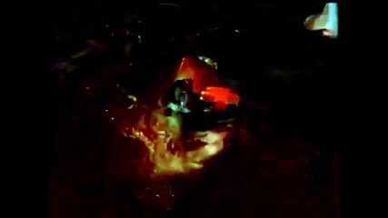 Un homme caresse un grand requin blanc depuis son bateau