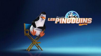 LES PINGOUINS DE MADAGASCAR - L'interview de Kowalski [VF|HD1080p]